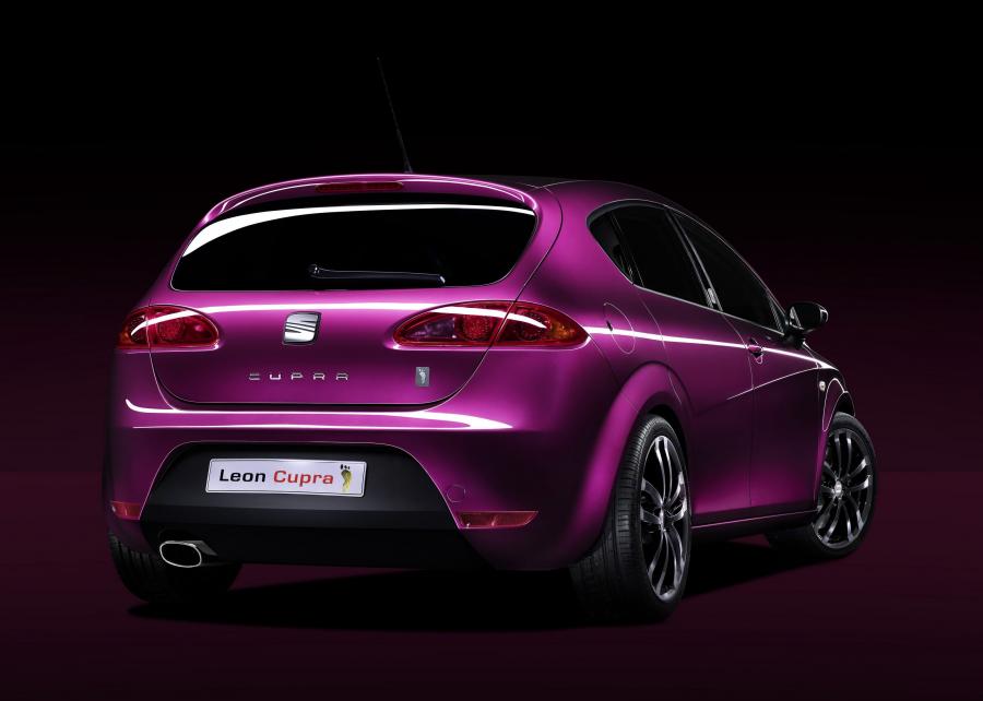  Seat Leon Cupra Pies Descalzos 2007 года  (фото 13 из 14)
